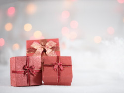 Sauvez vos cadeaux de Noël avec la livraison rapide en 24h !