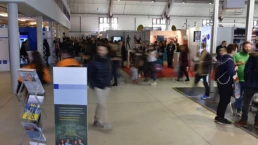 Transport événementiel